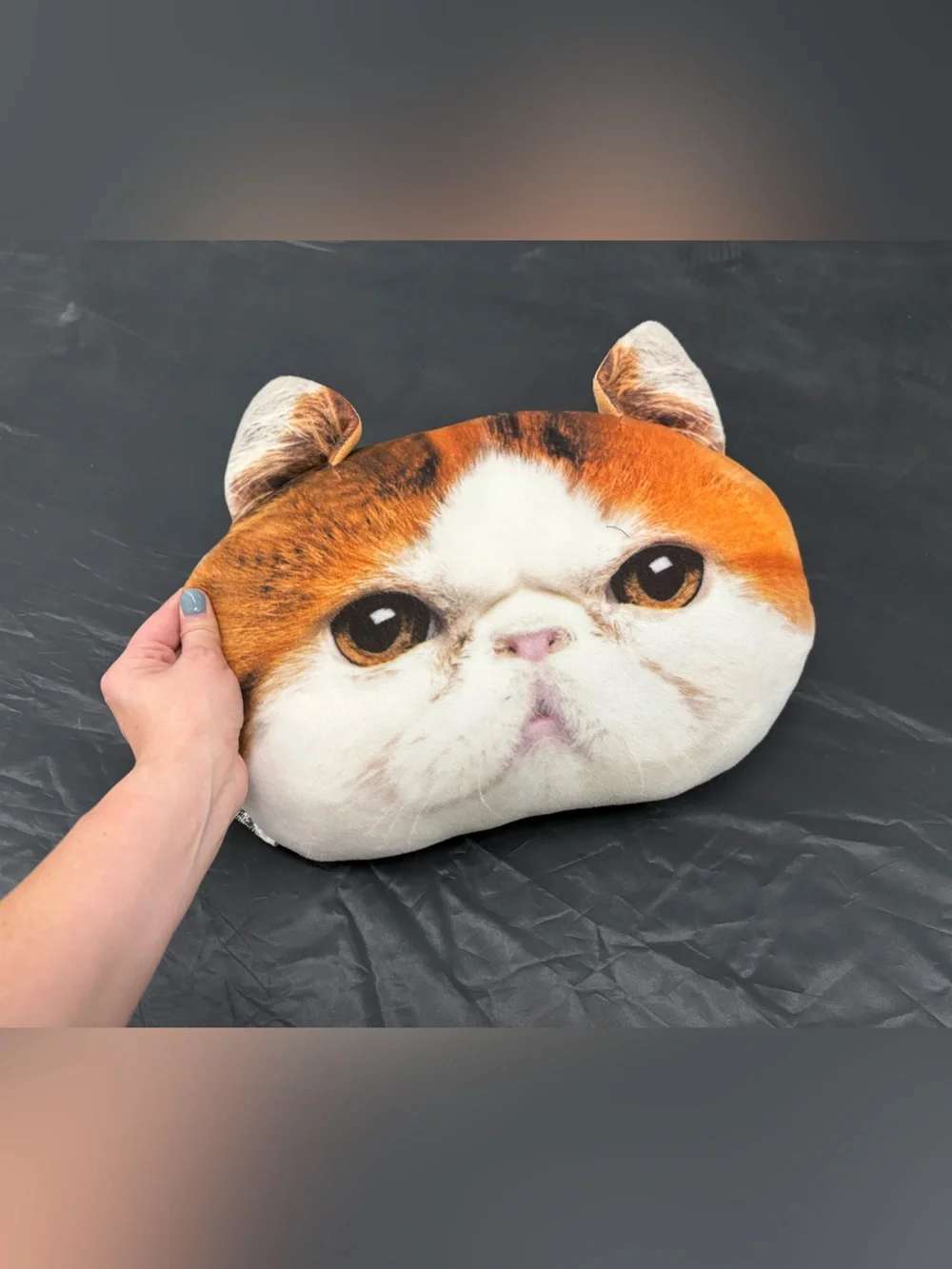 Plush Cat Face Pet Pillow Snoopy Cat Pillow